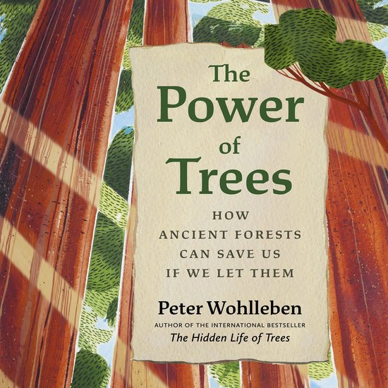The Power of Trees - cover