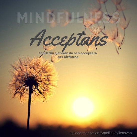 Acceptans - cover