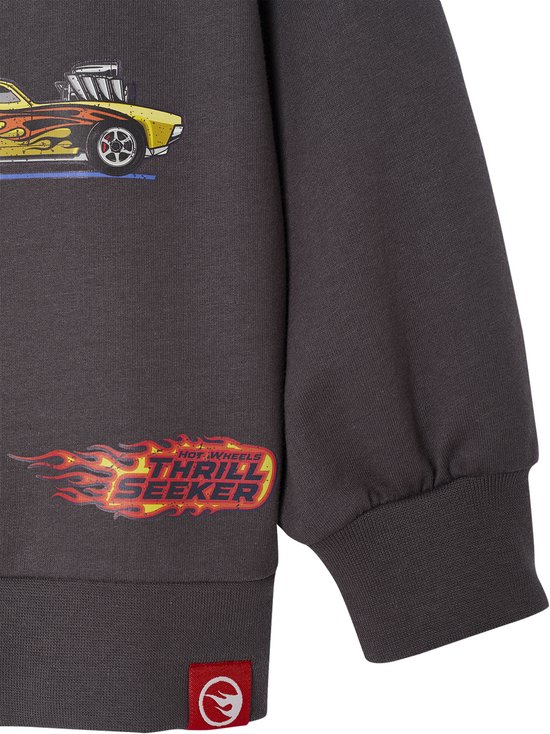 Detail van een donkergrijze sweater met 'Hot Wheels Thrill Seeker' opdruk en Hot Wheels logo.