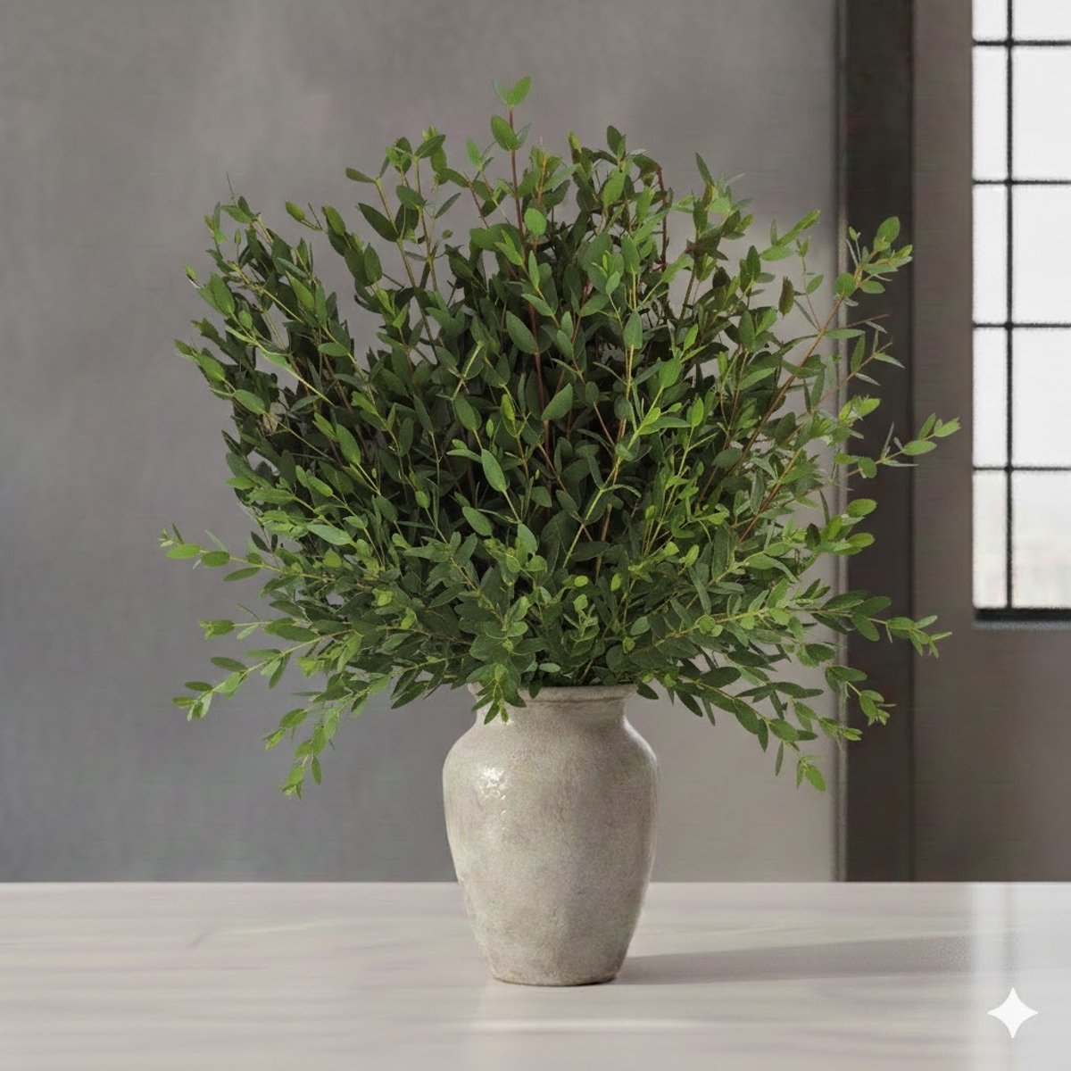 Verse Eucalyptus Parvifolia | 350 - 400 gram per bos | Lengte 65 - 70 centimeter | Per bos