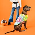 Gevlekte hond in tie-dye shirt met vredesteken en zonnebril, naast persoon in witte blouse en uitlopende spijkerbroek.