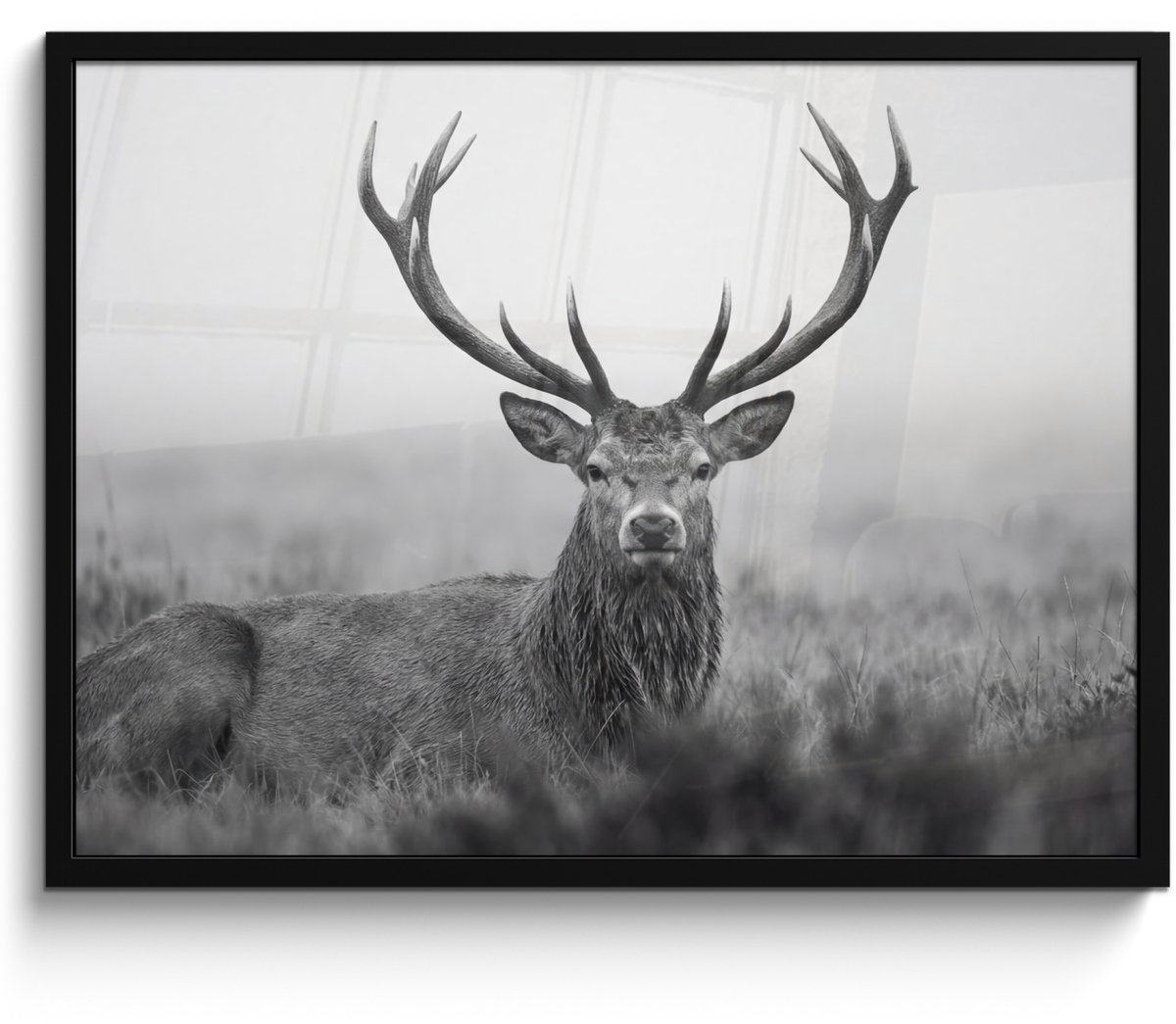 FrameYourWall Poster in lijst - Fotolijst 70x50 cm - Posters - Hert - Mistig - Zwart - Wit - Posterlijst zwart - Decoratie - Wanddecoratie woonkamer - Muurdecoratie slaapkamer