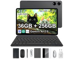 Blackview Mega 3 Tablette - 12,1 pouces - Android 15 - 4G LTE+ - 36 GB RAM - 256 GB ROM - 8800 mAh - 120Hz - 13 Mpx + 50 Mpx - Gemini AI 2.0 - Grijs