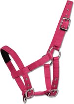 Halster Voor Mini Shetty |