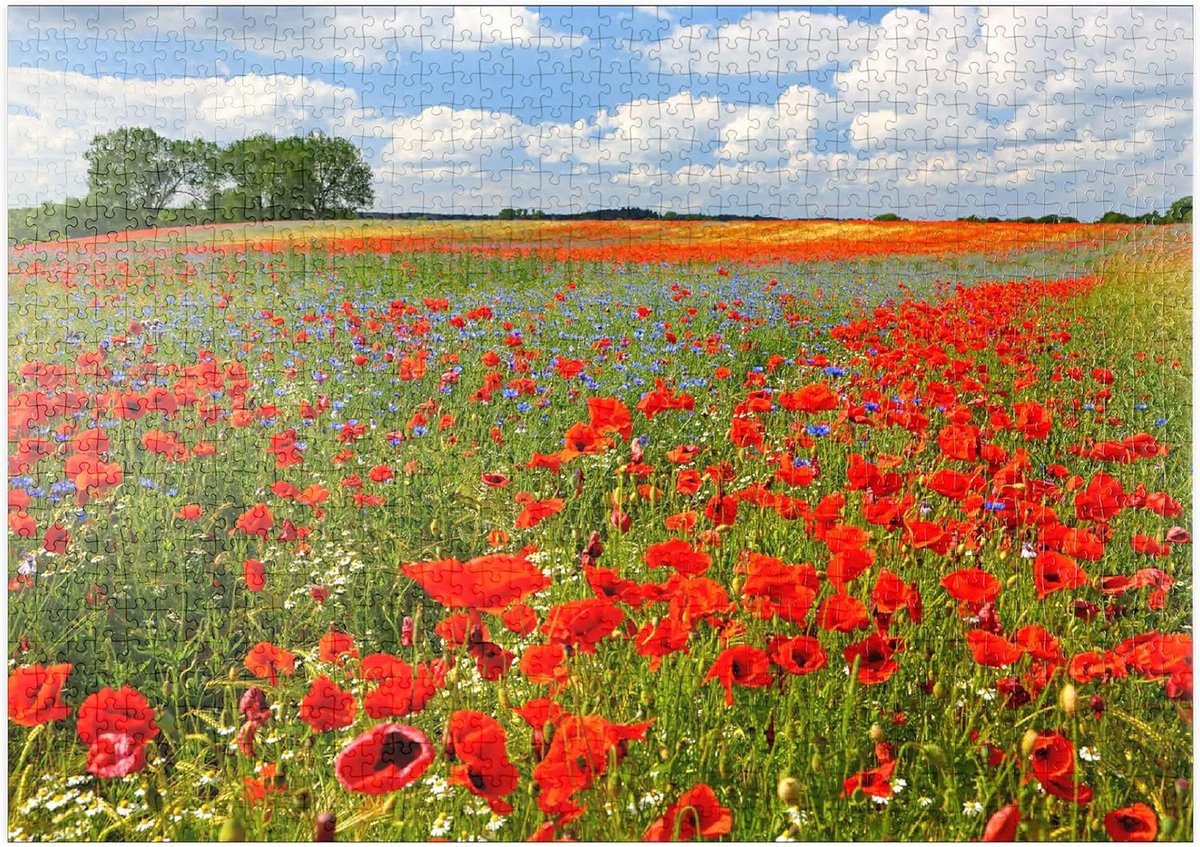 Legpuzzel 1000 stukjes - Landschap Puzzel - Ontspanning Thuis - Gedetailleerd Afgebeeld - 68 x 48 cm - Natuurlijke Kleuren