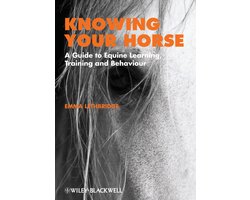 Knowing Your Horse