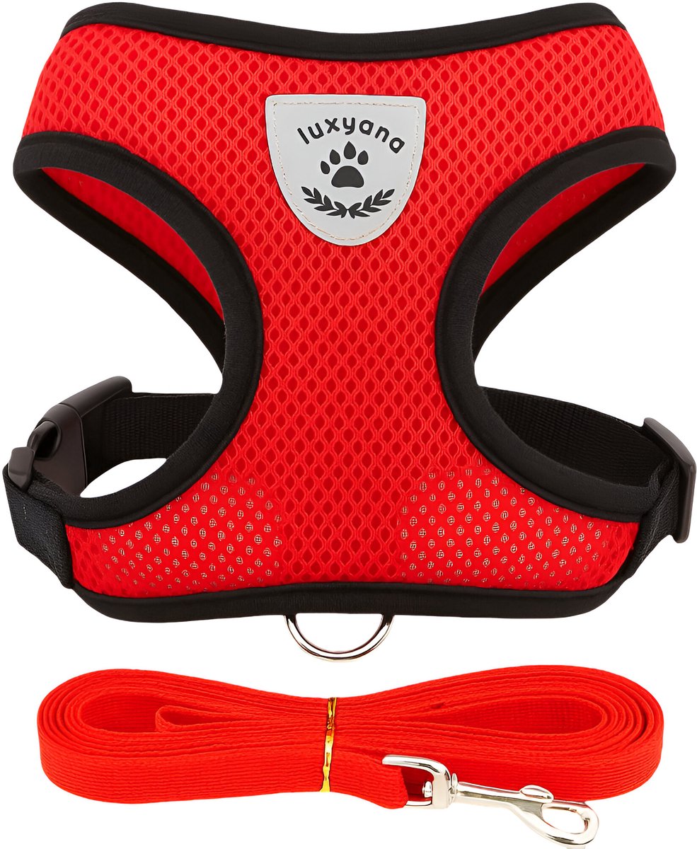 Luxyana® Kattentuigje met looplijn - S - Rood - Kattenharnas set inclusief kattenriem