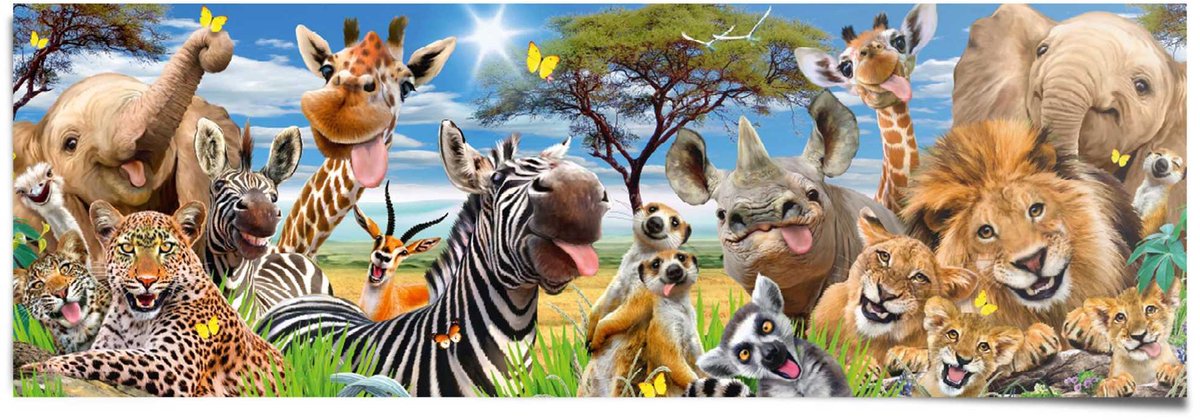 REINDERS Poster Wilde dieren - 53 x 158 - Papier - REINDERS Bonte kleuren