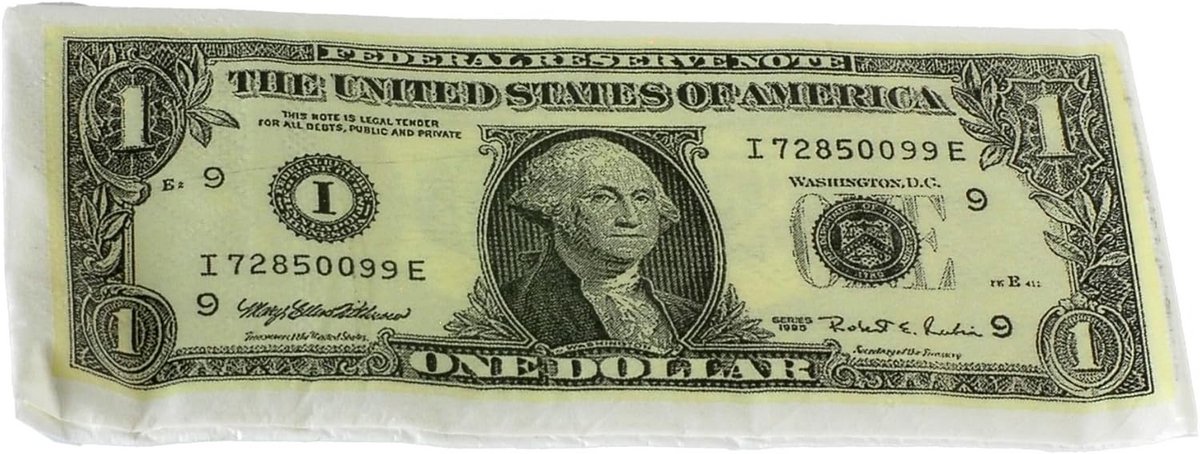10 Dubbellaagse Papieren Servetten met Dollar Bankbiljet Thema