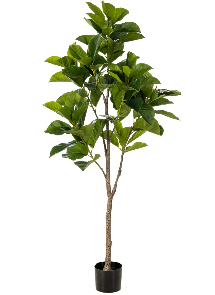 Fleurdirect Kunstplant Ficus Benghalensis - Textiel / Metaal - Groen - 170 cm hoog