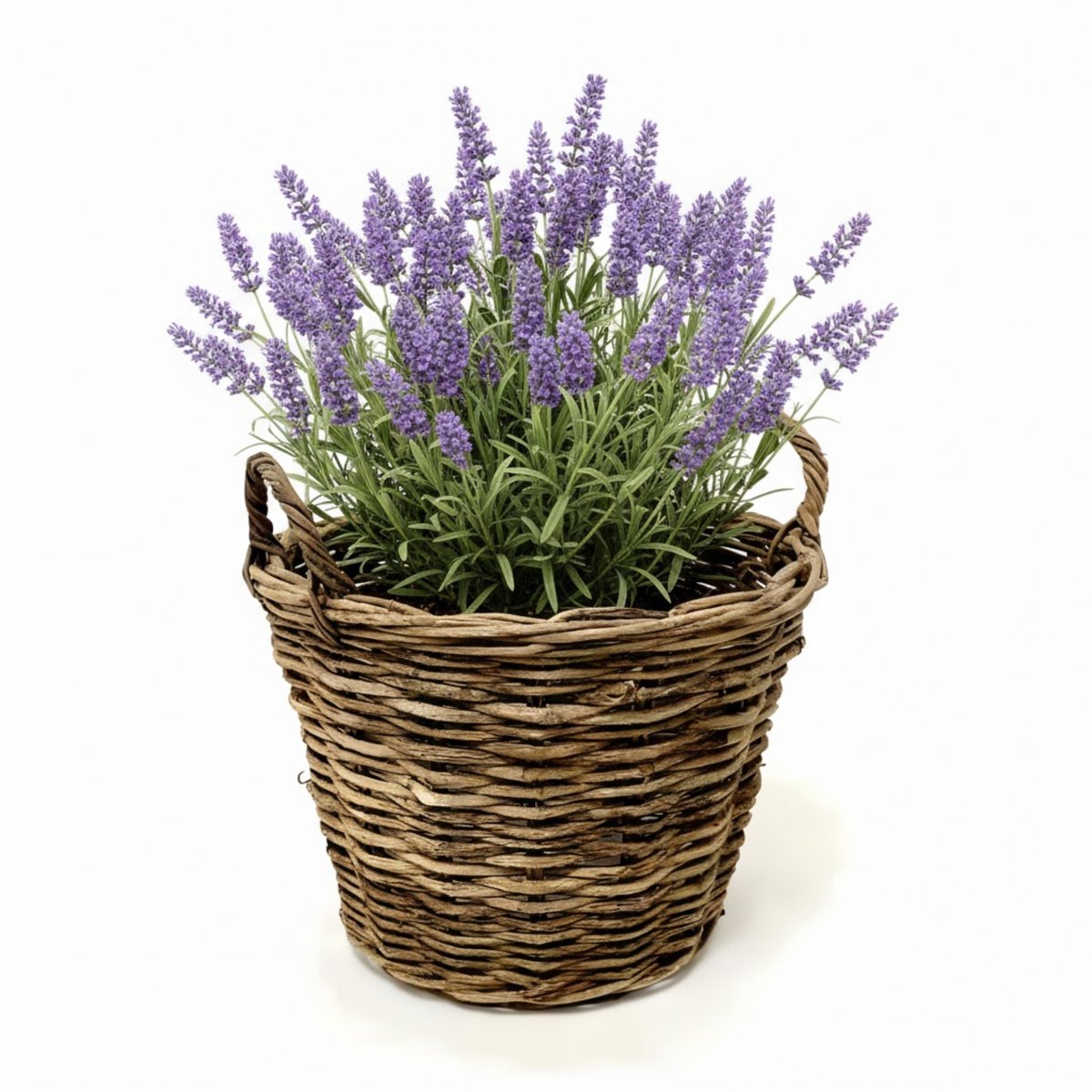 VD Leeden Plantenmand Twijg - rond - bruin - 30 x 23 cm - rotan - gevlochten riet - bloempot