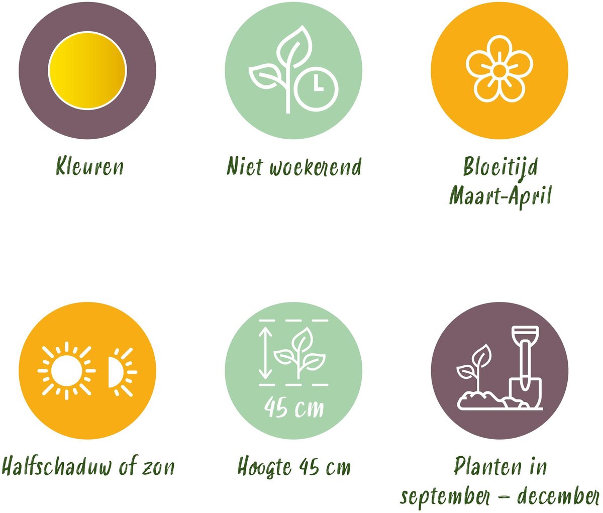 Green boutiQ - 25x Narcissus Tete-A-Tete - Miniatuurnarcis - Geel - Voorjaarsbloeier - Bolmaat 10/11