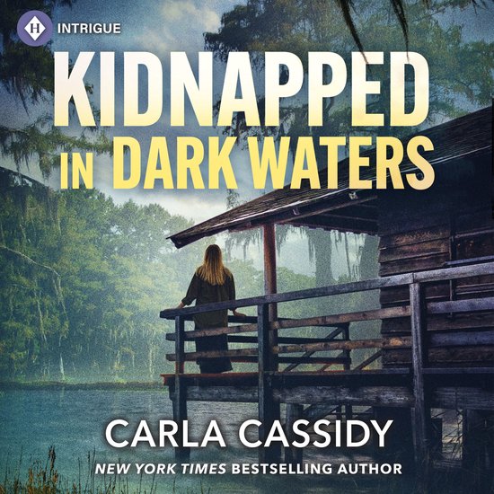 Kidnapped in Dark Waters - cover