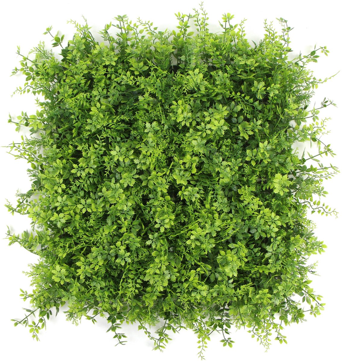 Fiji | FOLY - 50 x 50 cm - Green wall voor decoratief binnen en buiten gebruik - Tropische kunsthaag - 5j UV garantie - JIVANA