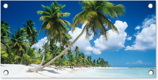 Tuinposter Strand - Palmboom - Tropisch - 60x30 cm - Tuindoek - Buitenposter