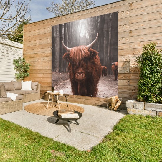 Affiche de Jardin Highlander écossais - Animaux - Vaches - 200x200 cm