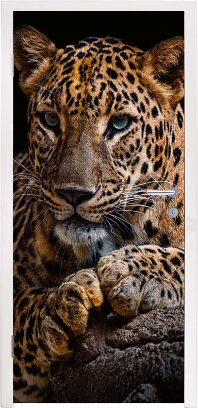 Deursticker Wilde dieren - Panter - Portret - Zwart - Dieren - 85x205 cm - Deurposter
