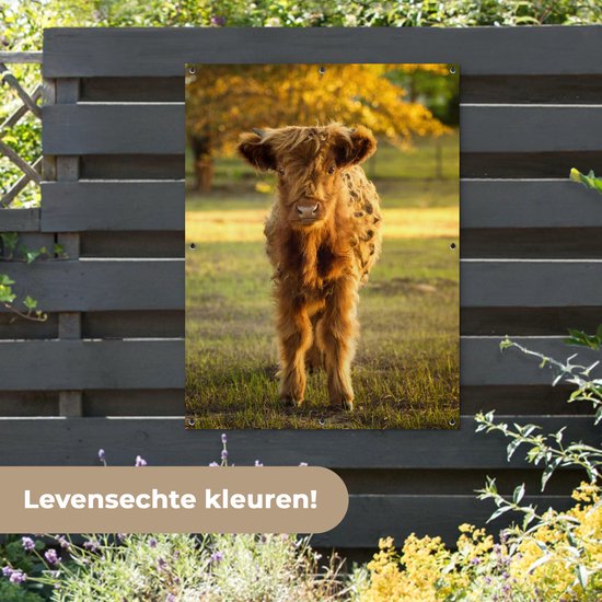 Affiche jardin - Toile Posters de jardin extérieur - Highlander écossais - Veau - Automne - 90x120 cm - Jardin