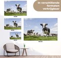 Afbeelding nummer  10