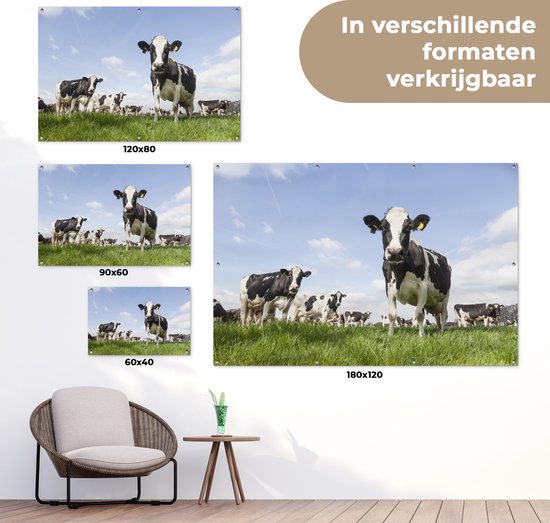 Tuinposter koeien - Tuindecoratie dieren - 120x80 cm - Tuindoek Friesland - Muurdecoratie voor buiten - Schuttingposter - Tuinschilderijen - Tuinwanddecoratie gras - Tuinposters