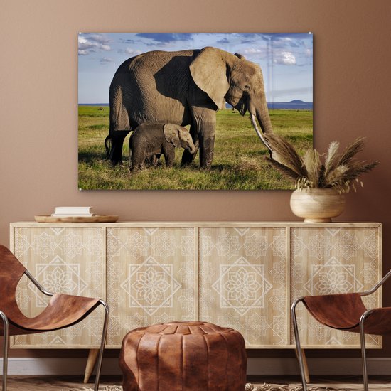 MuchoWow® Peinture sur verre 120x80 cm - Peinture sur verre acrylique - Éléphant - Animaux - Prairie - Vert - Grijs - Photo sur verre - Peintures