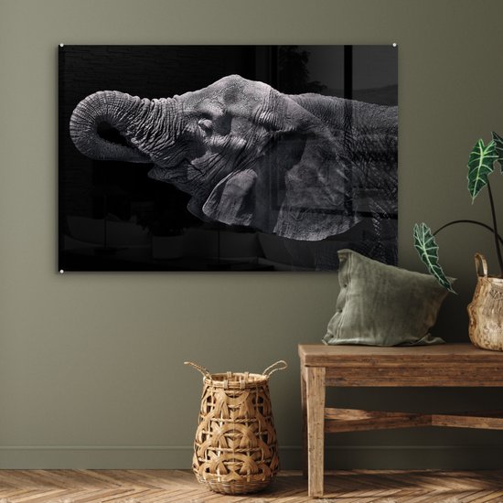 MuchoWow® Peinture sur verre - Éléphant - Animaux - Zwart - Nature - 90x60 cm - Peintures sur verre acrylique - Photo sur Glas