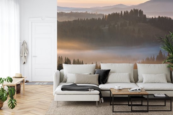 Papier peint photo Forêt dans la brume - Papier peint non tissé - 400 x 280 cm