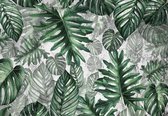 Fotobehang - Vlies Behang - Botanische Jungle Bladeren op Betonnen Muur - 254 x 184 cm