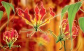 Fotobehang - Vlies Behang - Bloemen en Bladeren Abstractie - 312 x 219 cm