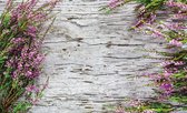 Fotobehang - Vlies Behang - Bloemen op Muur - 312 x 219 cm