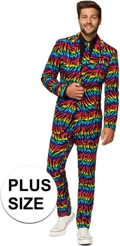 Aanhankelijk flexibel Elektricien Grote maten heren kostuum Wild Rainbow zebra regenboog - Opposuits pak -...  | bol.com