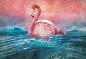 Fotobehang - Vinyl Behang - Flamingo in het Water - Kunst - 254 x 184 cm