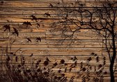 Fotobehang - Vlies Behang - Schaduw van Natuur en Vogels op Houten Planken - 416 x 254 cm