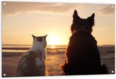 Tuinposter – Kat en Hond op het Strand Kijkend naar Zonsondergang - 120x80 cm Foto op Tuinposter (wanddecoratie voor buiten en binnen)