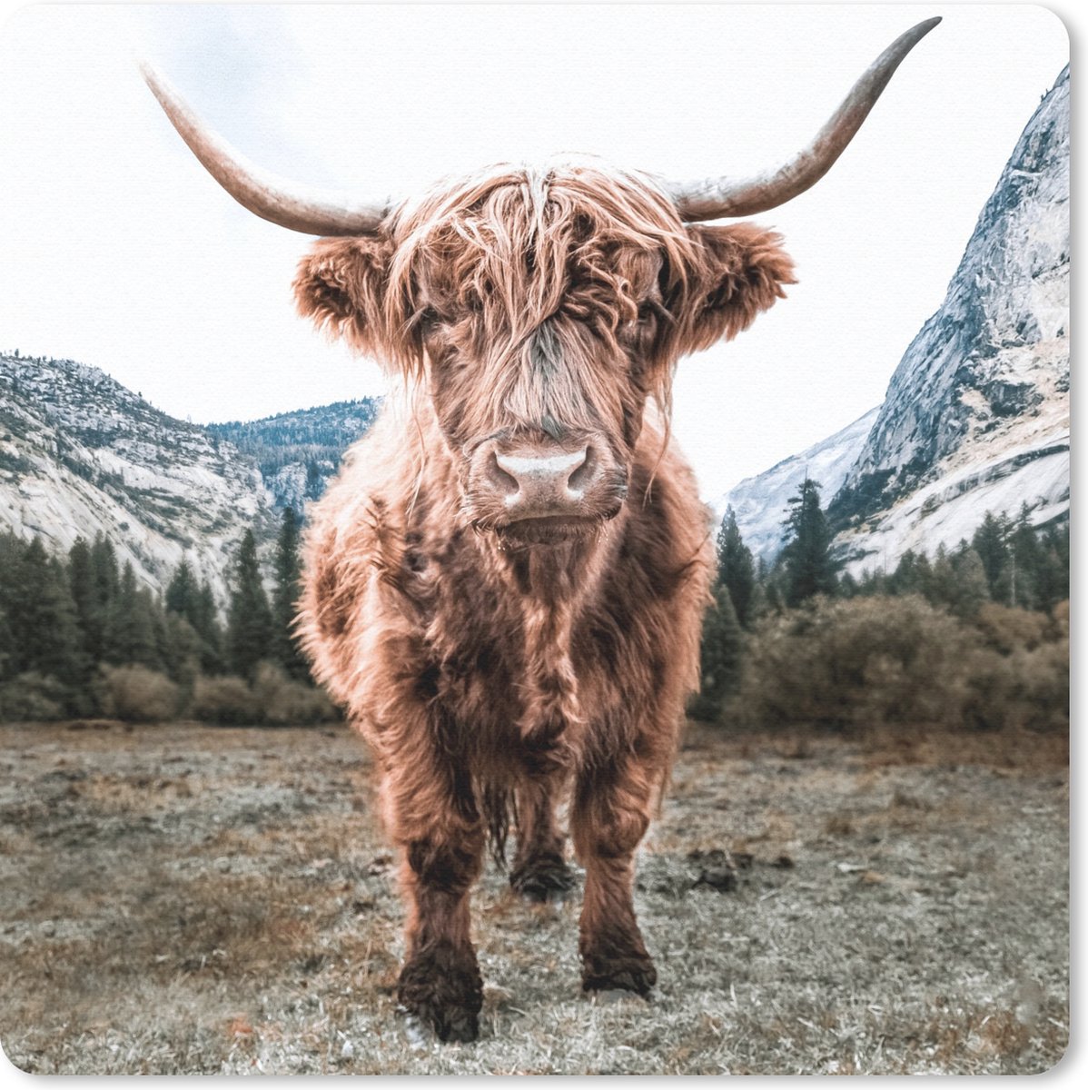 Muismat 20x20 cm - Mousepad Schotse Hooglander - Berg - Dieren - Muismatten