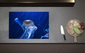 Inductieplaat Beschermer - Wit met Bruine Kwallen Zwemmend in Aquarium - 70x52 cm - 2 mm Dik - Inductie Beschermer van Vinyl