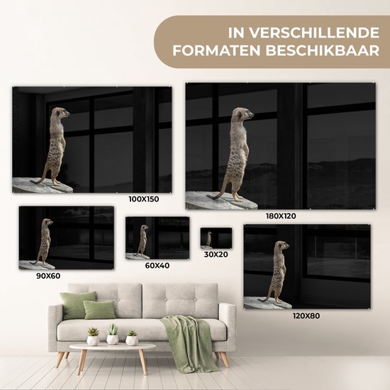 MuchoWow® Glasschilderij 30x20 cm - Schilderij acrylglas - Stokstaartje - Wilde dieren - Zwart - Foto op glas - Schilderijen
