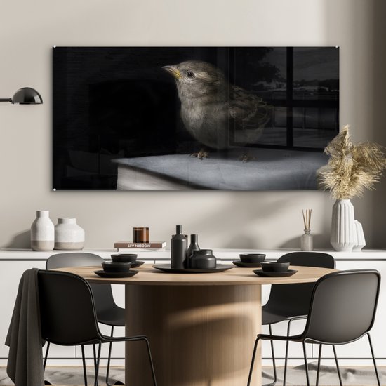 MuchoWow® Glasschilderij 120x60 cm - Schilderij acrylglas - Vogel - Boeken - Portret - Foto op glas - Schilderijen