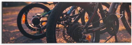Dibond - Wielen van Racefietsen tijdens de Zonsondergang - 60x20 cm Foto op Aluminium (Wanddecoratie van metaal)