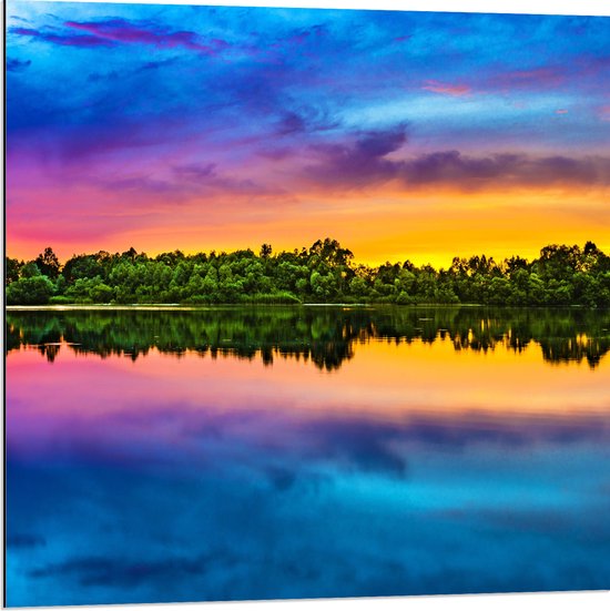 Dibond - Water - Meer - Bomen - Bossen - Kleuren - 80x80 cm Foto op Aluminium (Met Ophangsysteem)