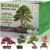 Bonsai Starter Set - Kweek prachtige bonsai bomen - inclusief handleiding en accessoires - SeedPal