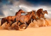 Fotobehang Paarden Rennen In De Woestijn - Vliesbehang - 254 x 184 cm
