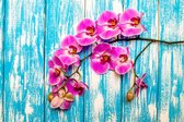 Fotobehang Orchideeën Op Een Achtergrond Van Planken - Vliesbehang - 416 x 254 cm