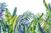 Fotobehang Groene En Blauwe Tropische Planten - Vliesbehang - 315 x 210 cm