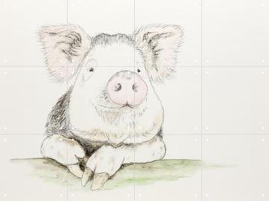 Foto: 3d poster cavelier king charles spaniels