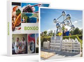 Bongo Bon - BEZOEK AAN THEMAPARK MINI-EUROPE IN BRUSSEL VOOR 2 - Cadeaukaart cadeau voor man of vrouw