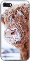 Geschikt voor iPhone 7 hoesje - Schotse Hooglander - Sneeuw - Bruin - Siliconen Telefoonhoesje