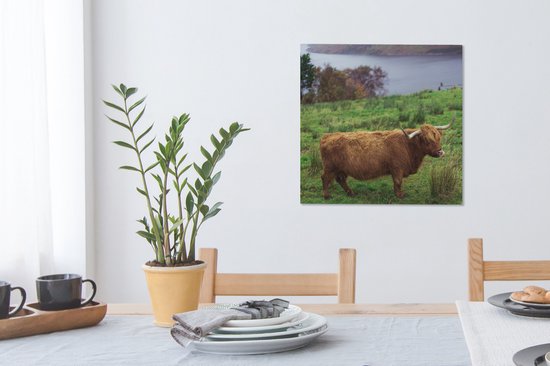 Peinture sur toile Highlander écossais - Herbe - Water - Animaux - 50x50 cm - Décoration murale