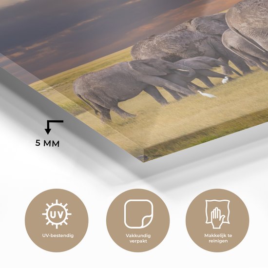 MuchoWow® Peinture sur verre 160x120 cm - Peinture sur verre acrylique - Éléphant - Animaux - Herbe - Coucher de soleil - Nature - Photo sur verre - Peintures
