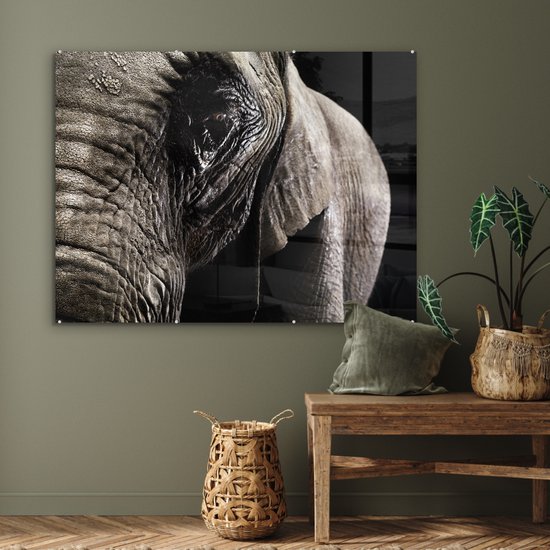 MuchoWow® Peinture sur verre 120x90 cm - Peinture sur verre acrylique - Éléphant - Animaux - Gros plan - Zwart - Photo sur verre - Peintures